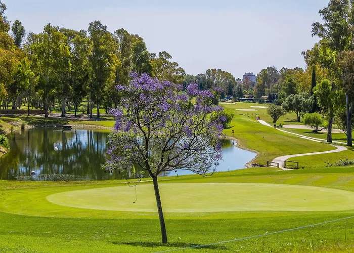 Sol Marbella Atalaya Park 호텔